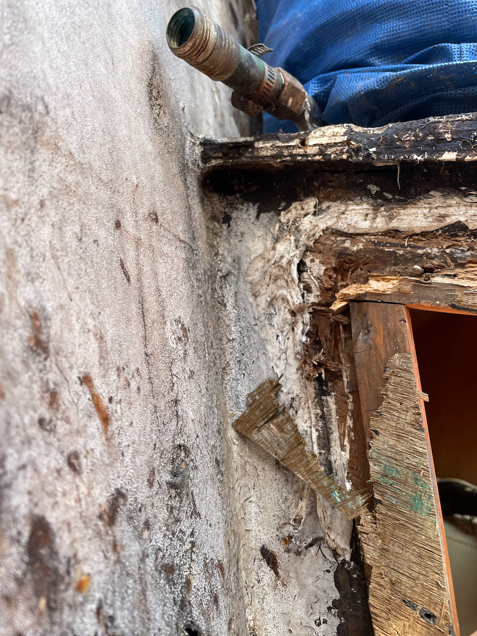 rotting wood in the bulkhead