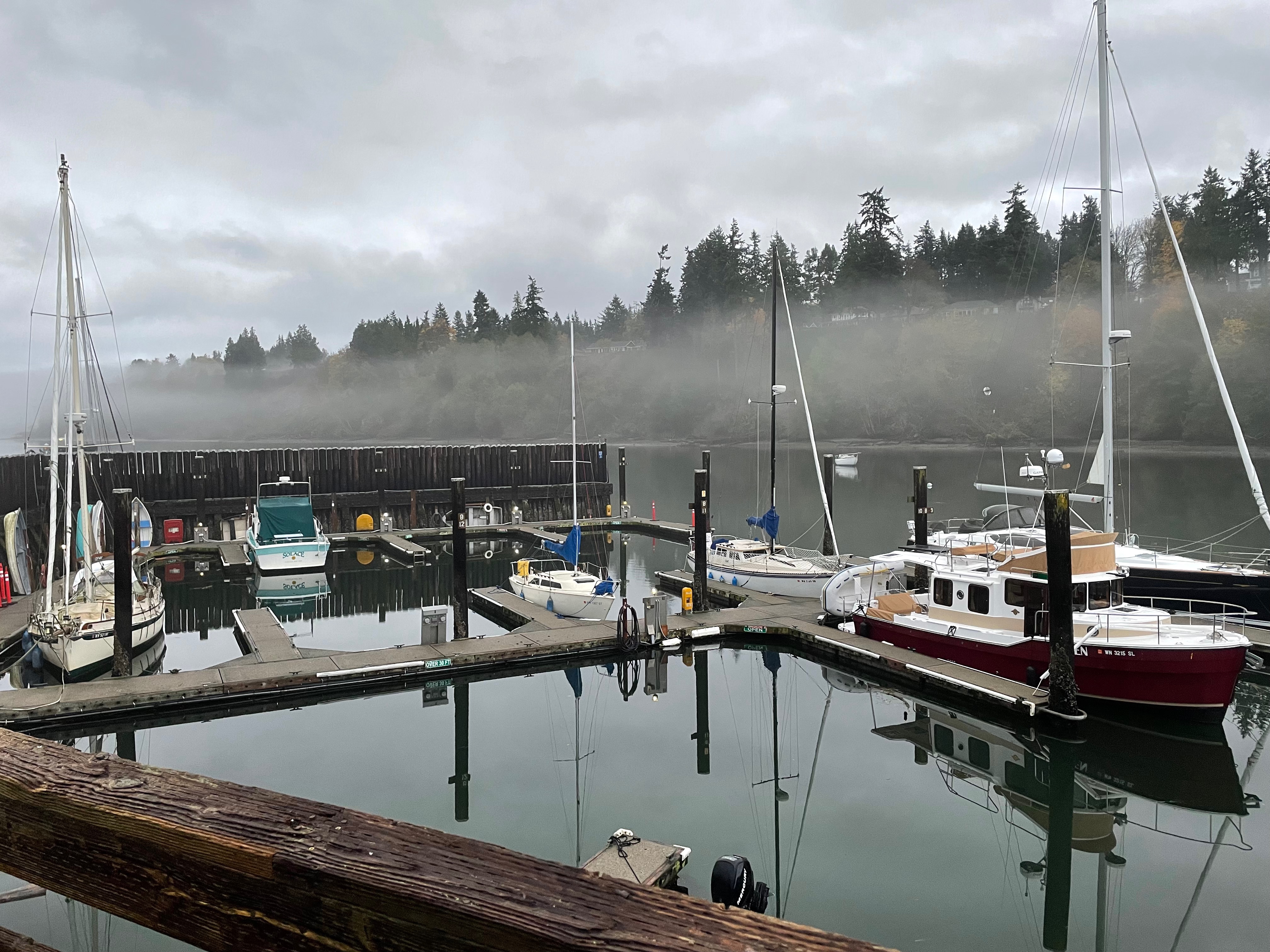 small marina in the fog