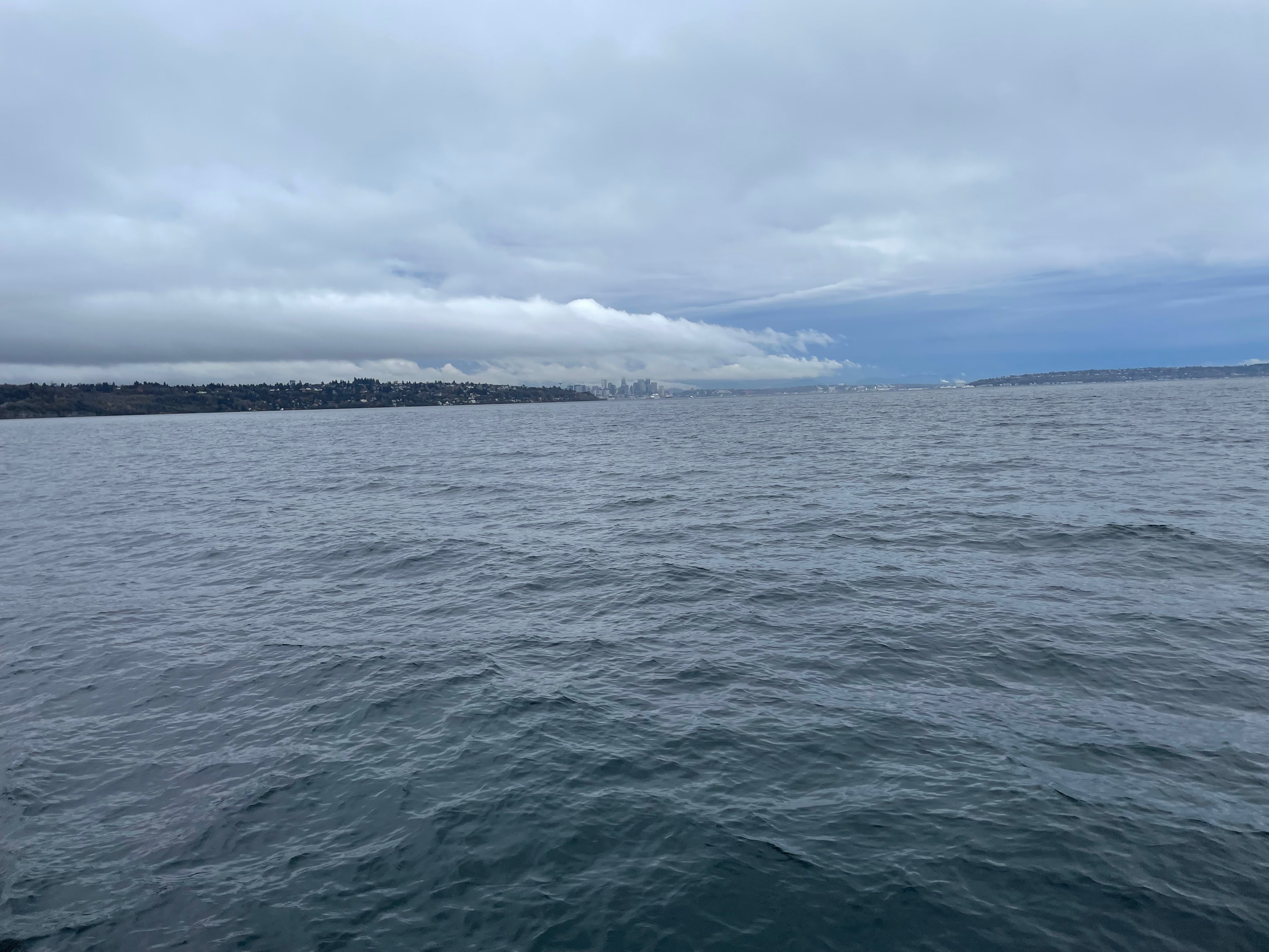 seattle as seen from the water