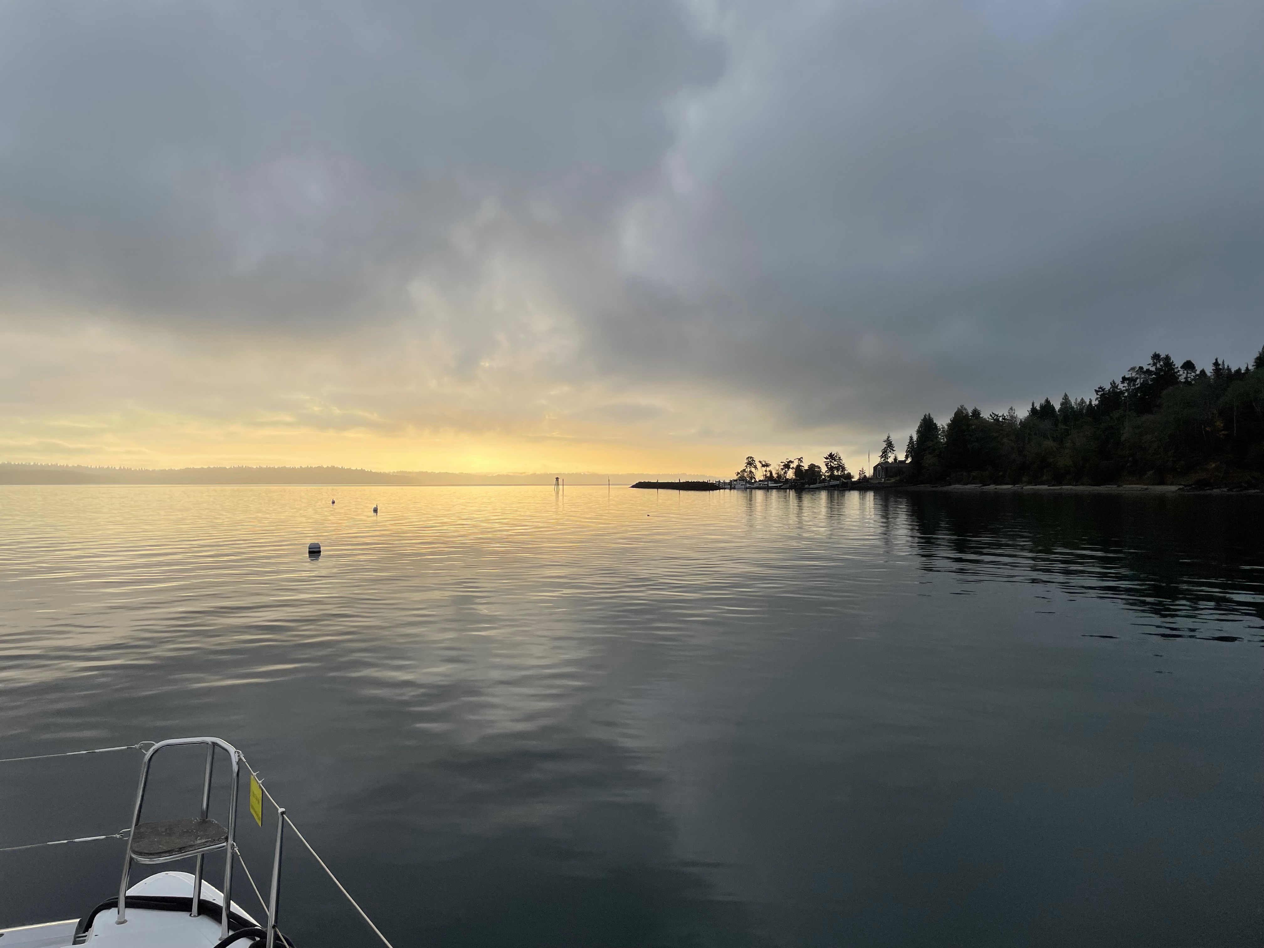 bird standing on mooring balls at sunrise