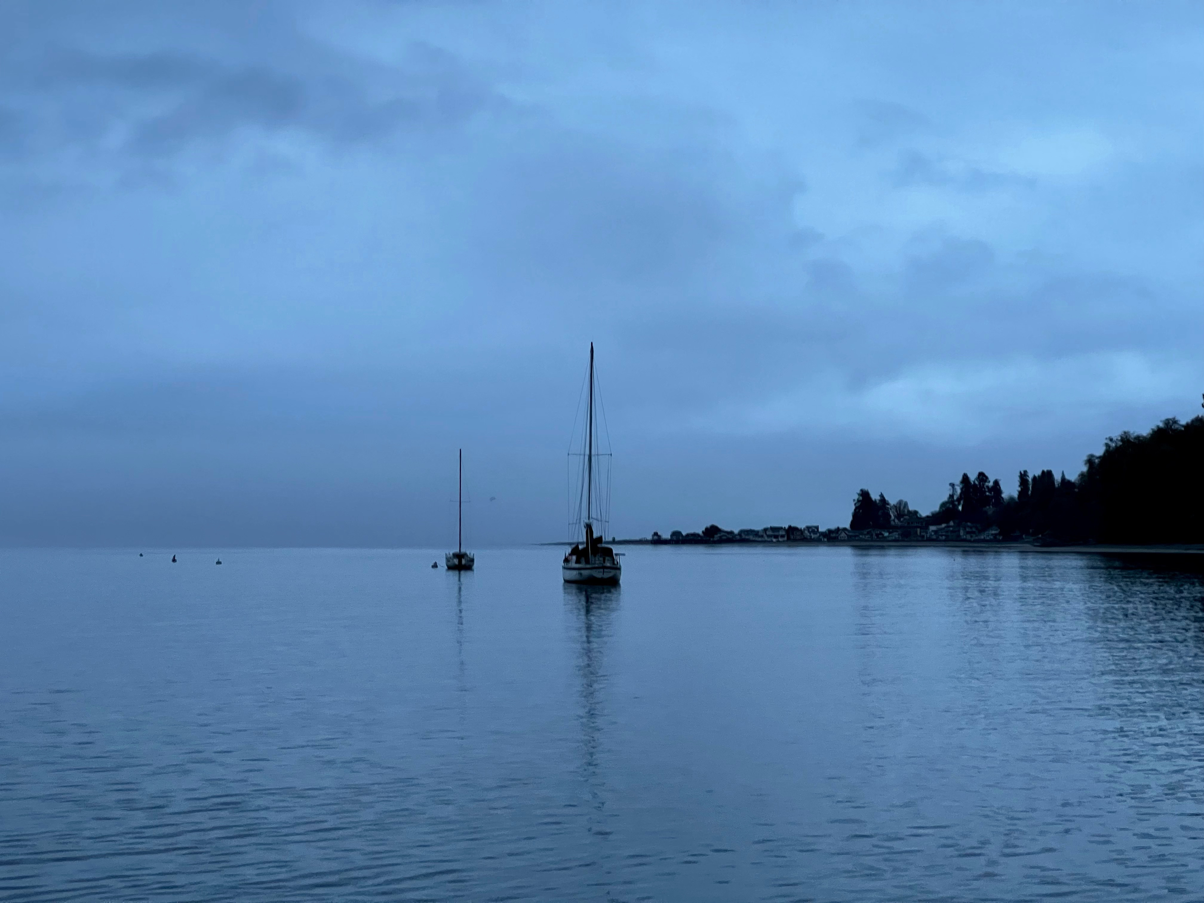 sailboats moored in twilight