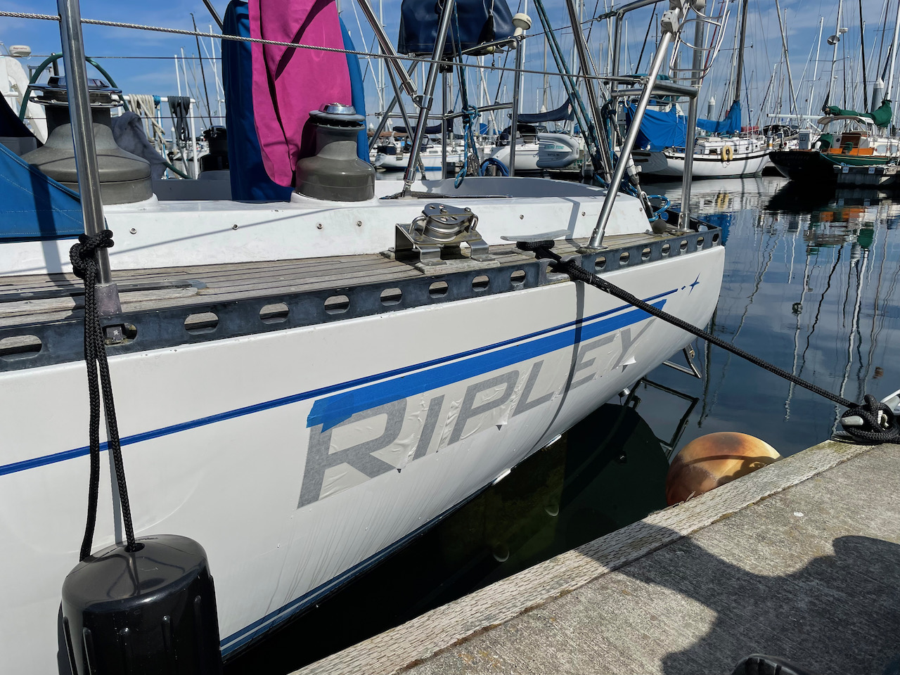 new vinyl letters applied to boat, still covered in transfer tape